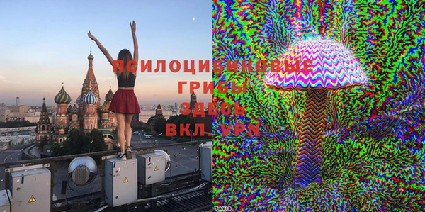 ешки Лабытнанги