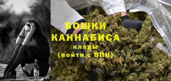 гидра Ладушкин