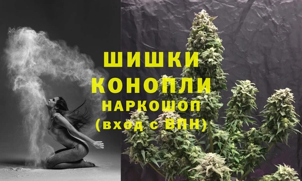 гидра Ладушкин